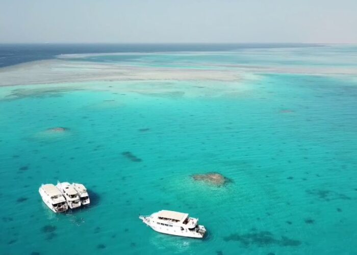 Snorkeling Trip to Mahmya Island by Boat