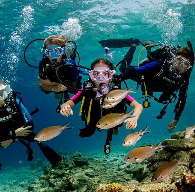 Snorkeling in Red Sea