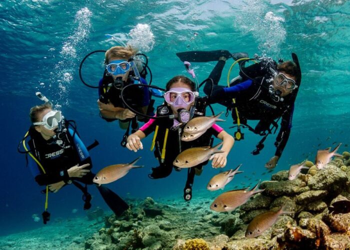 Orange Bay Adventure with Boat | Hurghada Diving Day Adventure with Lunch