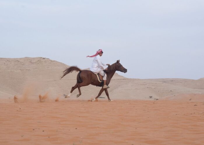 Afternoon Horseback Riding Safari