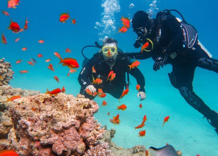 Hurghada Diving Day Adventure with Lunch | Dive Training Course Hurghada