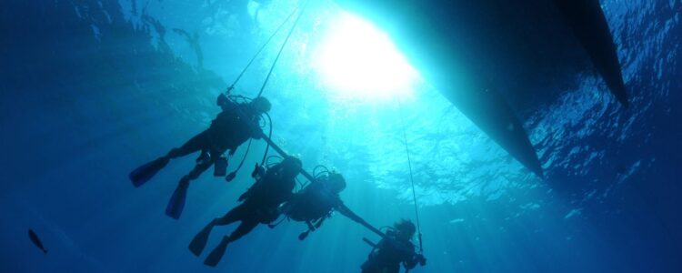 Hurghada Diving Day Adventure with Lunch | Dive Training Course Hurghada