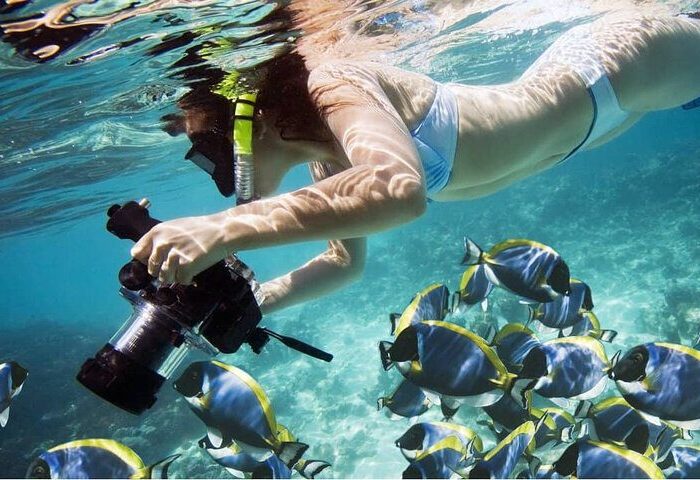 Manatee Watching in Abu Dabbab