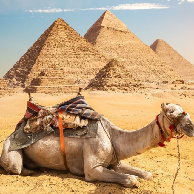 Exclusive Two Days Bus Trip to Cairo | Full Day Trip to Cairo by Bus with Lunch