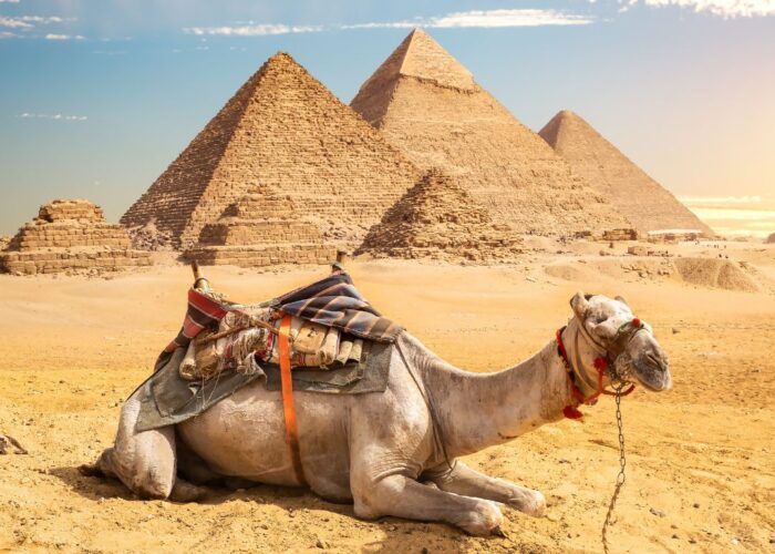 Exclusive Two Days Bus Trip to Cairo | Full Day Trip to Cairo by Bus with Lunch