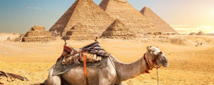 Exclusive Two Days Bus Trip to Cairo | Full Day Trip to Cairo by Bus with Lunch