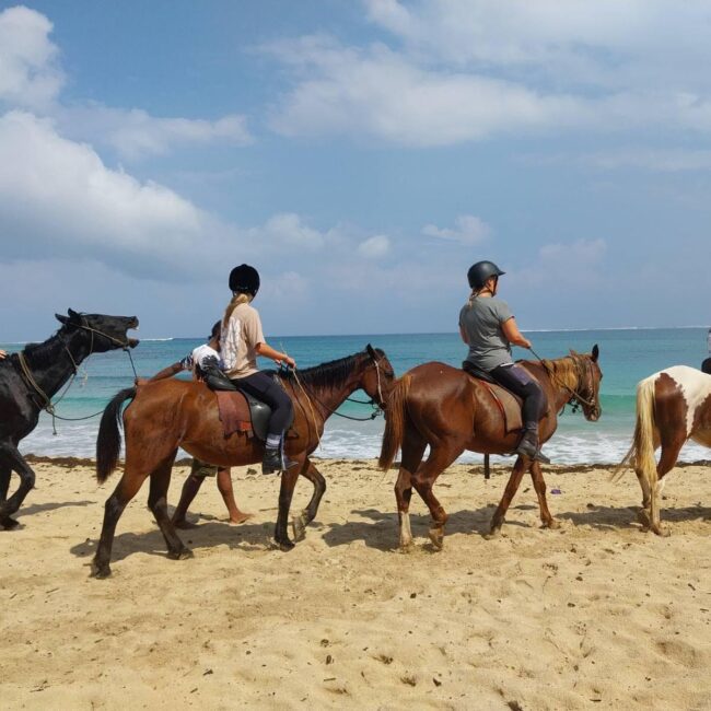 Coastal Ride of Afternoon Horseback Riding Safari