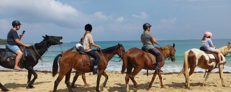 horse riding safari