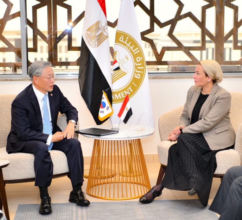 Egypt, South Korea discuss joint cooperation on environmental issues – Dailynewsegypt