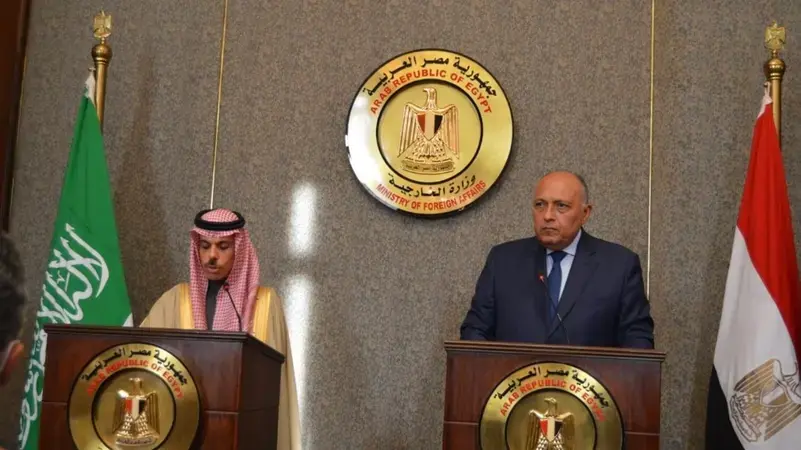 Shoukry calls for immediate ceasefire, aid access to Gaza – Dailynewsegypt