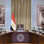 Egypt PM seeks solutions to urgent medical supply shortages – Dailynewsegypt