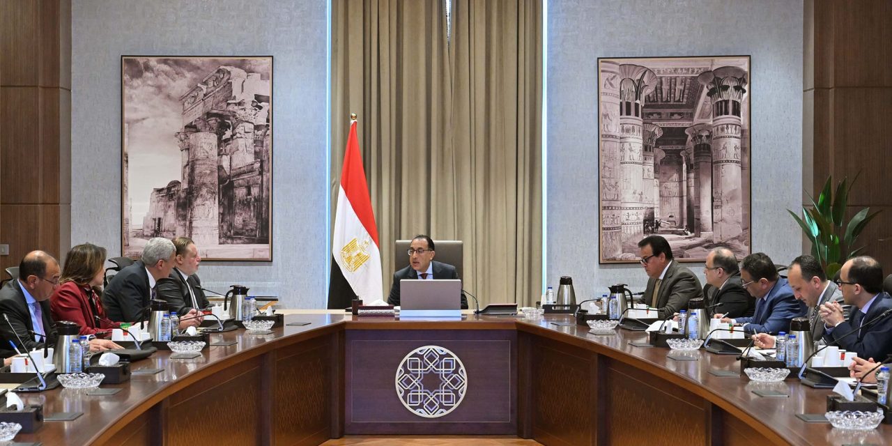 Egypt PM seeks solutions to urgent medical supply shortages – Dailynewsegypt