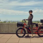 Hot Deal: Save 0 On The RadWagon 4 Electric Cargo Bike – CleanTechnica