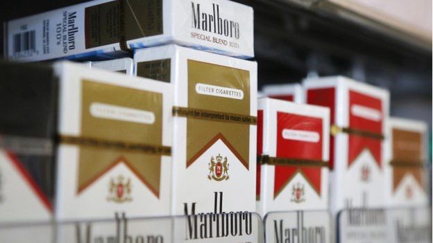 Philip Morris Misr raises prices of cigarettes, heated tobacco products – Dailynewsegypt