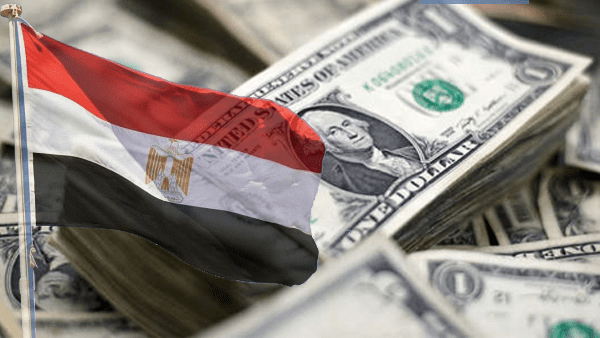 How will borrowing companies cope with sharp rise in interest rates? – Dailynewsegypt