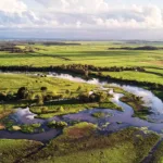 Overlooked Blue Carbon superstars: Untapped potential of alternative tidal wetlands – Dailynewsegypt