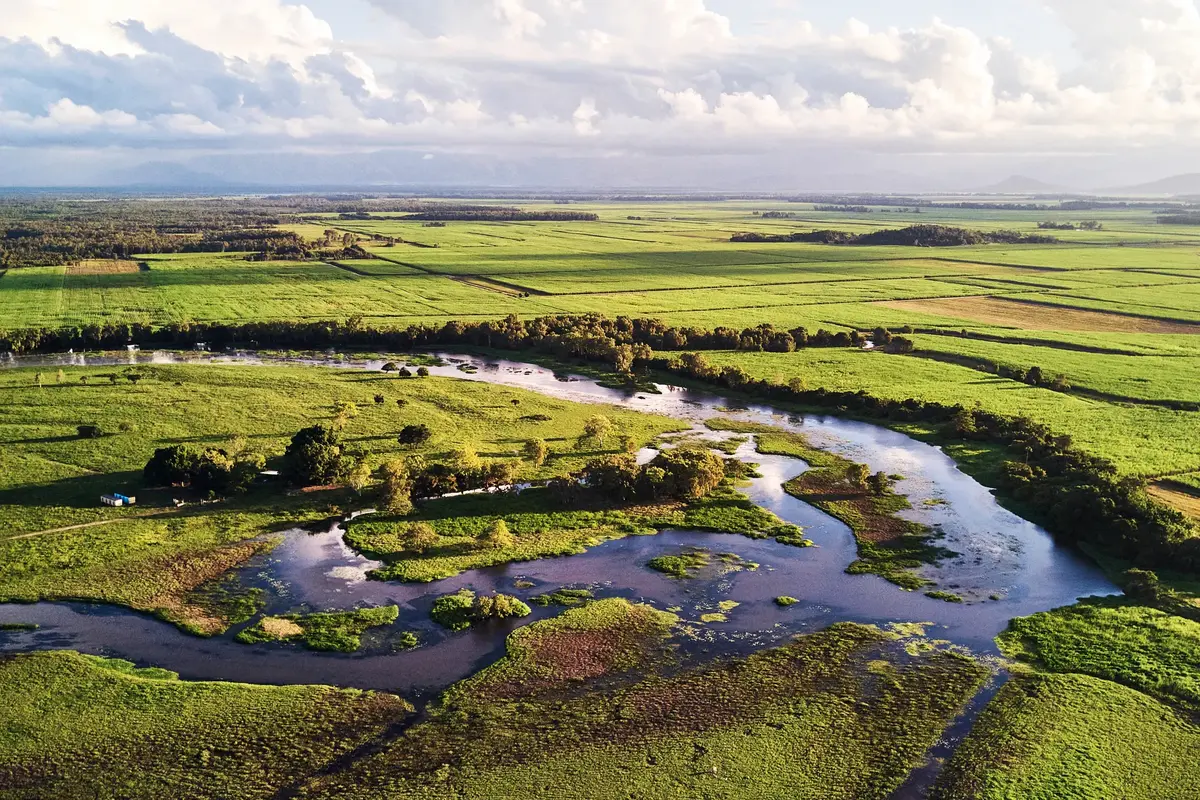 Overlooked Blue Carbon superstars: Untapped potential of alternative tidal wetlands – Dailynewsegypt