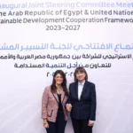 UN allocates 8m in grants for development initiatives – Dailynewsegypt