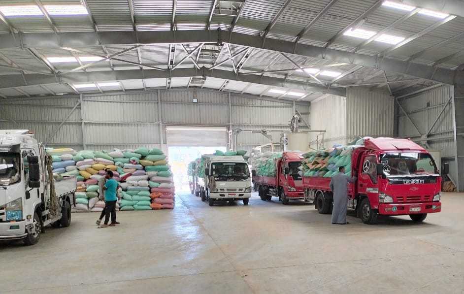 ABE Commences collection of wheat crops at expanded network of storage facilities – Dailynewsegypt