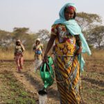 Chad faces growing food insecurity crisis amidst multiple challenges, UN warns – Dailynewsegypt