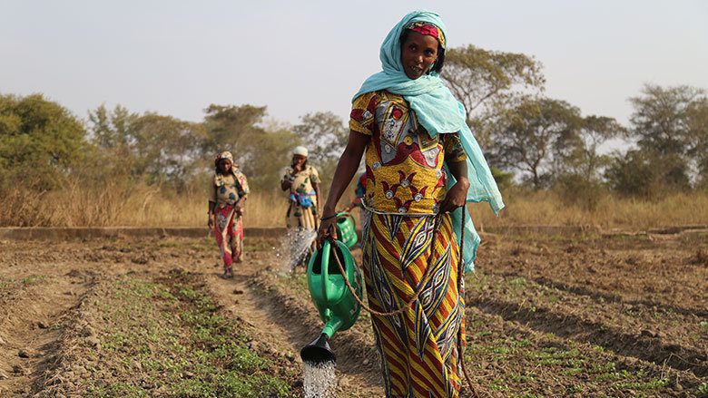 Chad faces growing food insecurity crisis amidst multiple challenges, UN warns – Dailynewsegypt