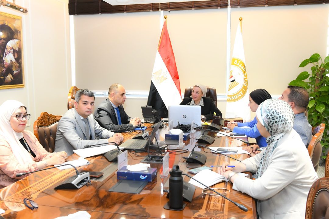 Egypt and OECD representatives discuss green growth policies report  – Dailynewsegypt