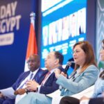 Private sector investments reach 40% of total: Egypt’s Planning Minister – Dailynewsegypt