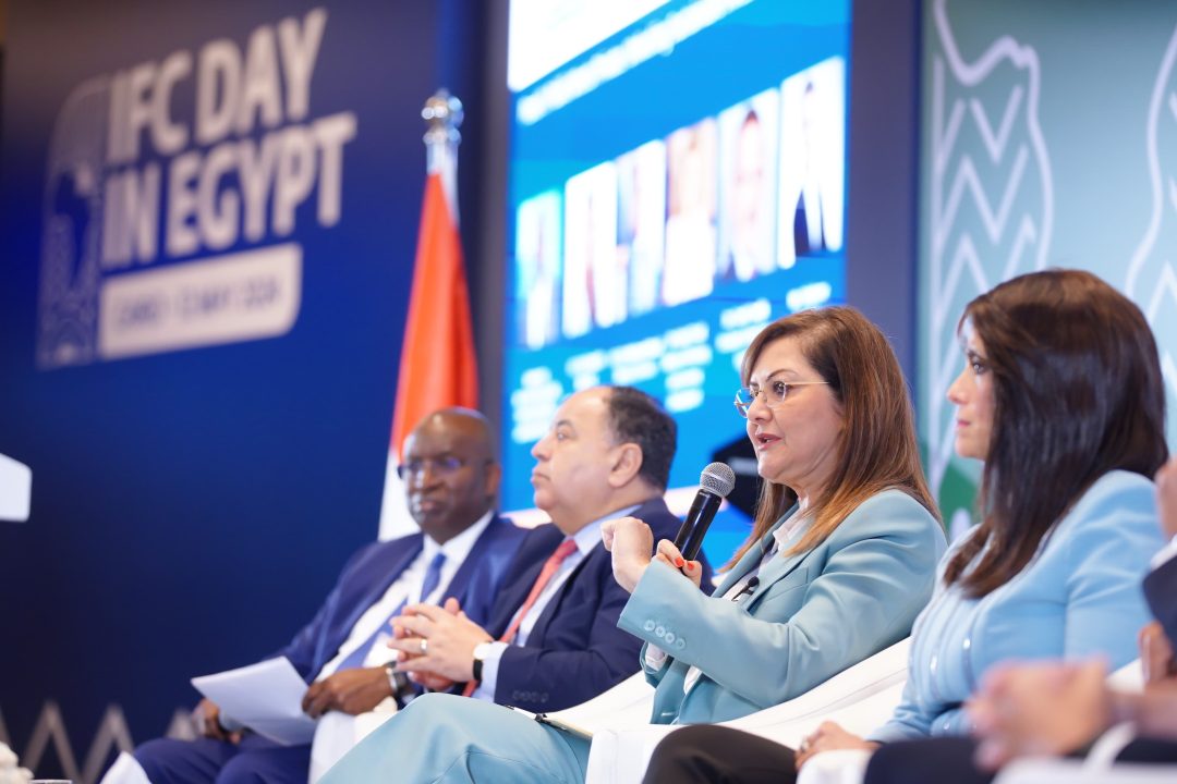 Private sector investments reach 40% of total: Egypt’s Planning Minister – Dailynewsegypt