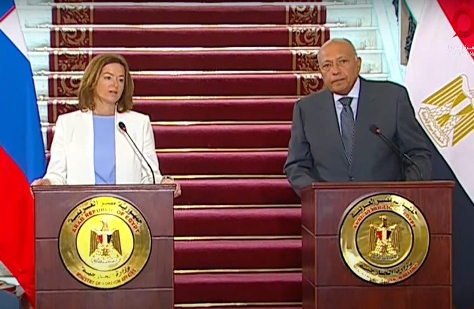 Shoukry affirms mechanisms in place for Egyptian-Israeli treaty compliance – Dailynewsegypt