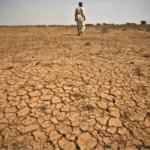 UNICEF calls for increased child-focused climate investments in drought-stricken Zimbabwe – Dailynewsegypt